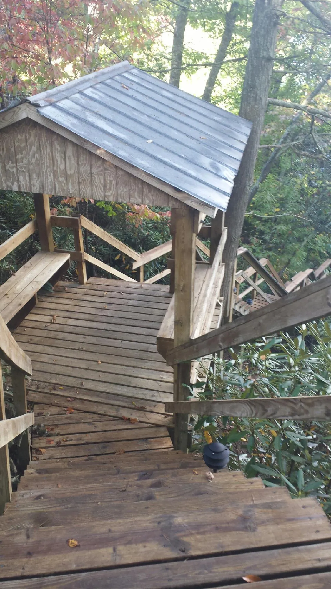 Metal roofed shelter over wooden steps on a wooded walkway — Skylight Repair & Installation work by our crew in Satsop