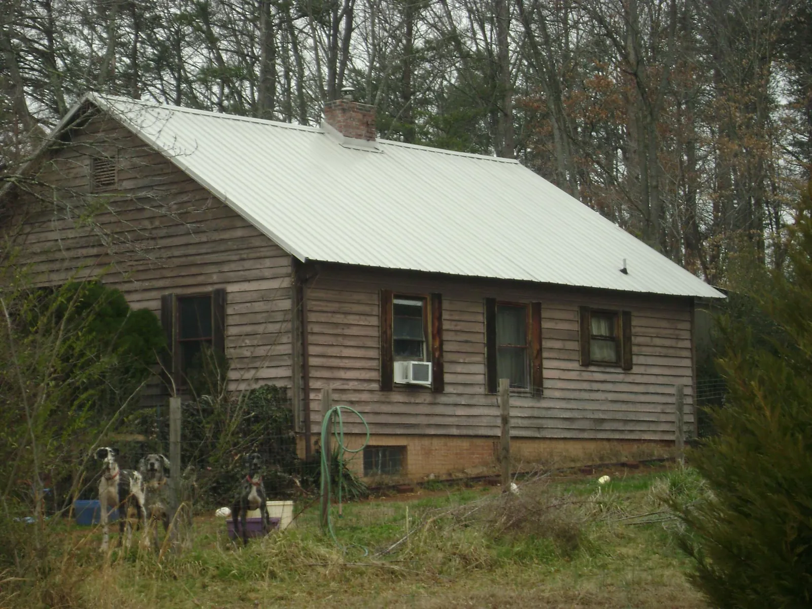 White metal roof on an old wood sided farmhouse, from a Asphalt Shingle Roof Repair job in Satsop